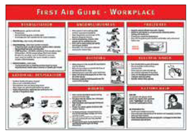 Laminated First Aid Guide Poster